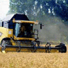 Kategorie-Bild Landwirtschaft